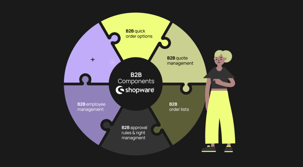 Infografik Shopware B2B Components